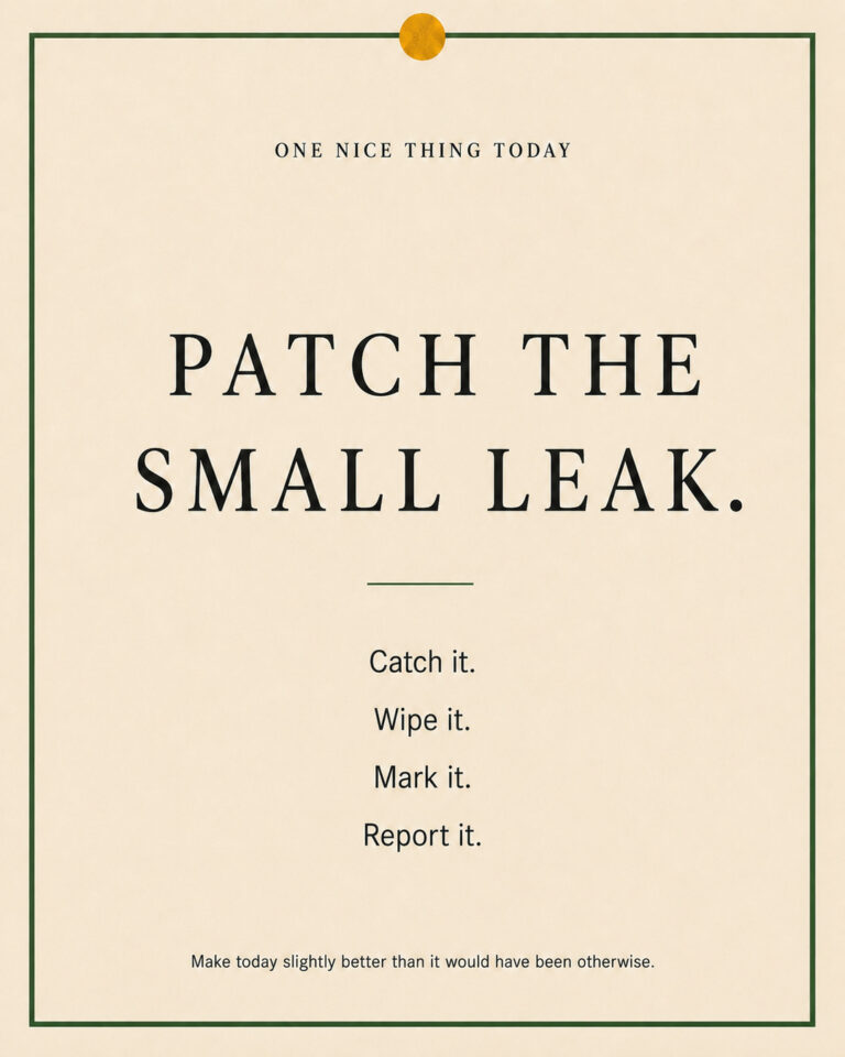 A cream paper-style graphic with a green border and mustard pin dot. Text reads: “PATCH THE SMALL LEAK. Catch it. Wipe it. Mark it. Report it.”